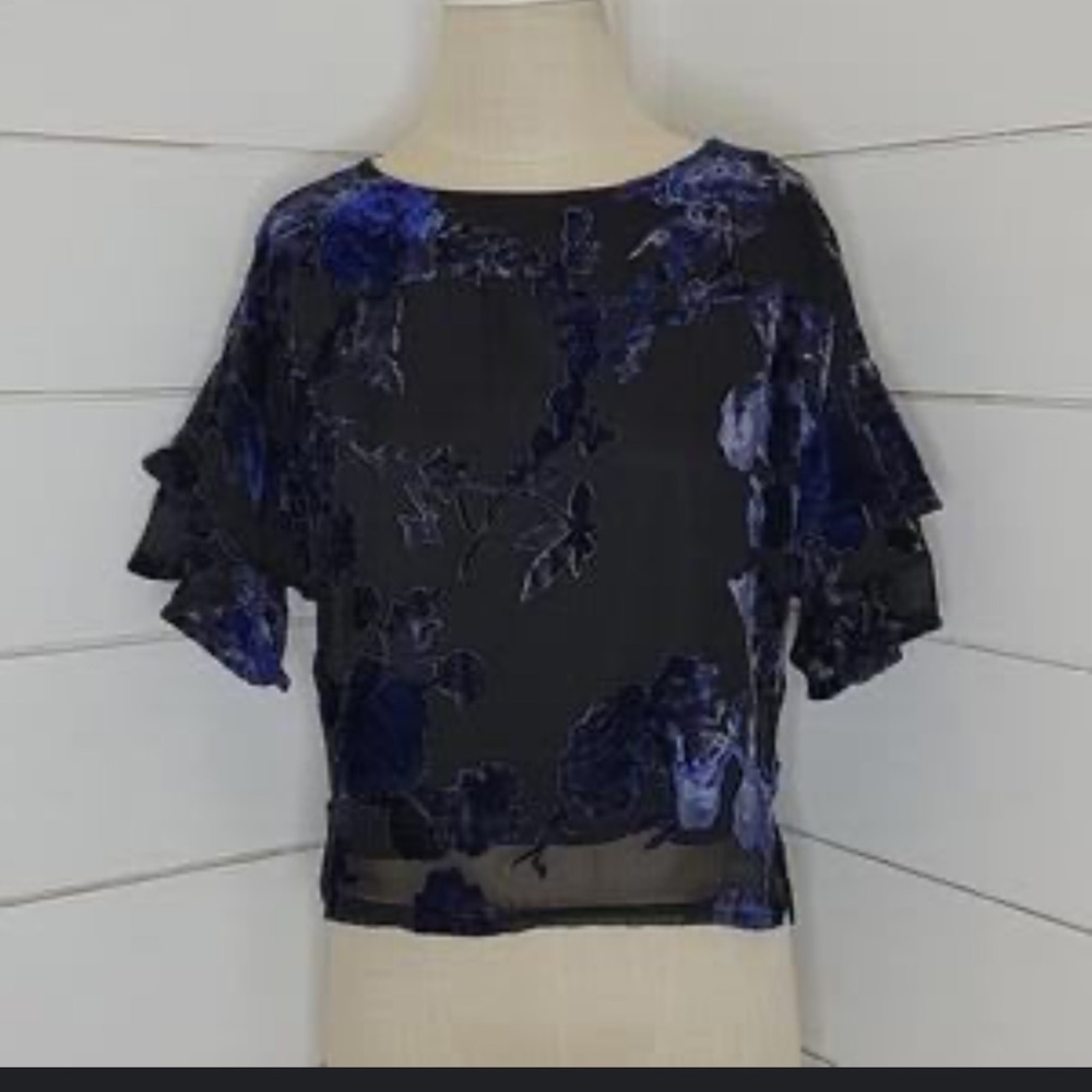 Lily White Black and Bluish Purple Velvet Top Floral blouse Ruffled Sleeves